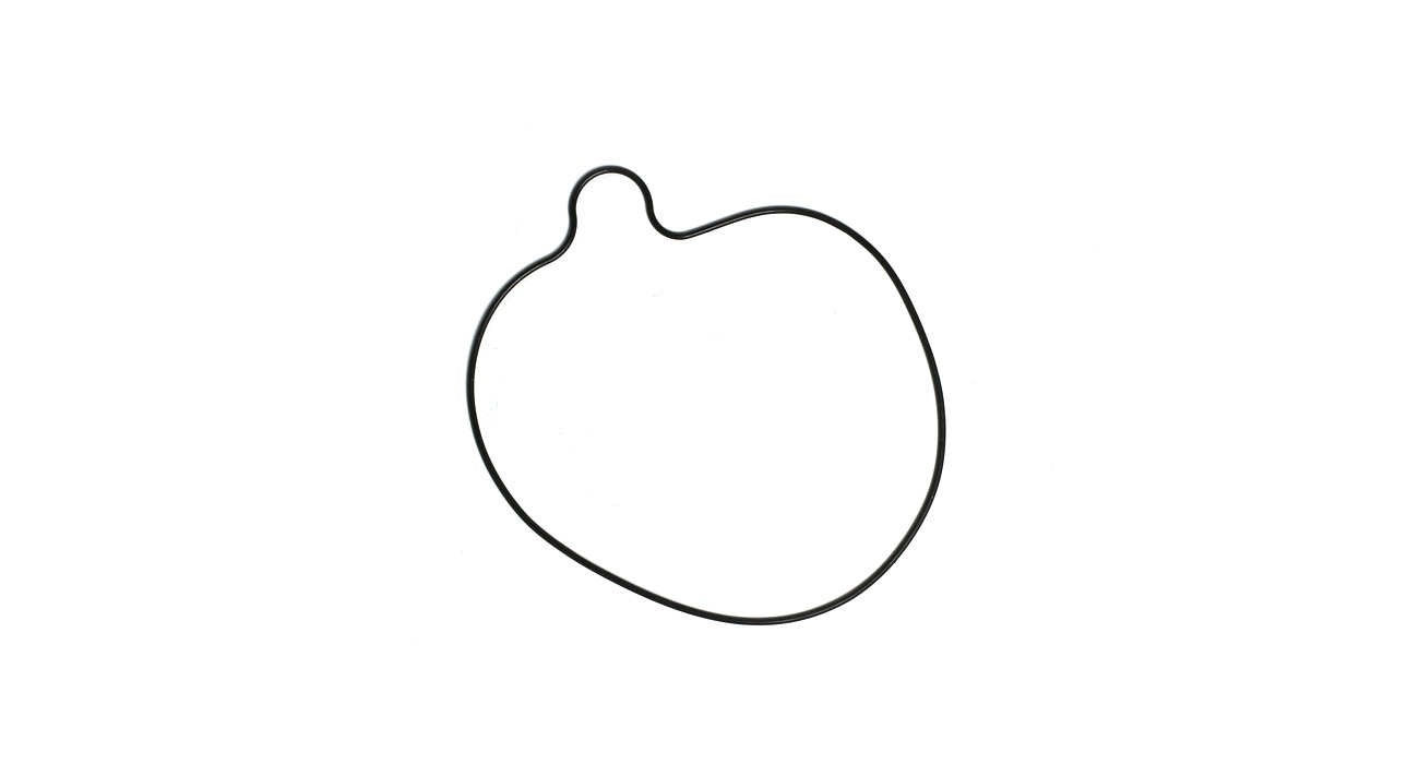 Кольцо уплотнительное крышки сцепления YCF двиг. DAYTONA ANIMA150