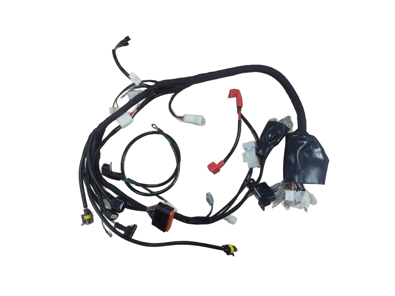 Жгут проводки EFI (инжектор COEUS) для 172FMM (PR / CB)