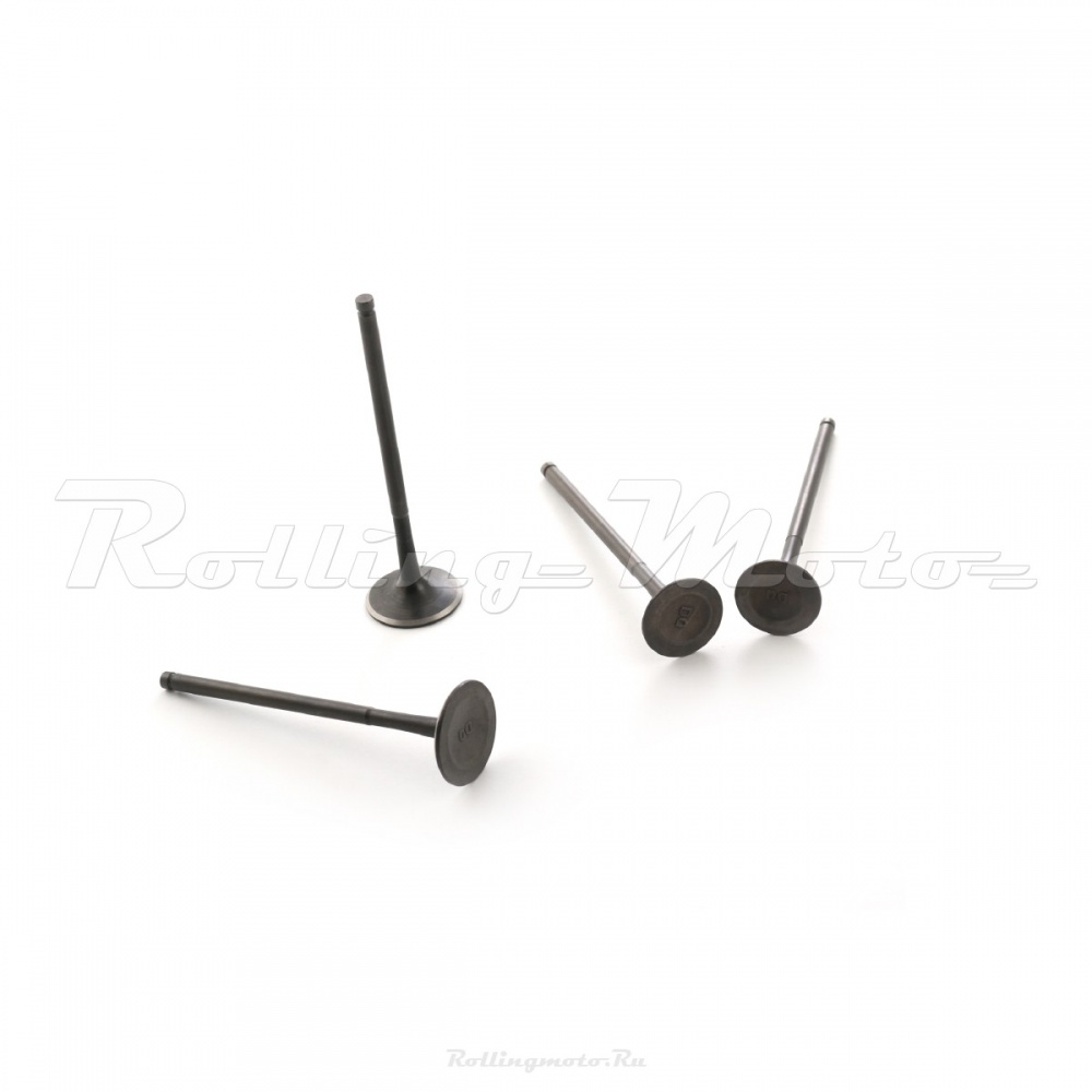 Клапаны (компл. 4шт) 4T двиг. ZS174MN-3 (CBS300)