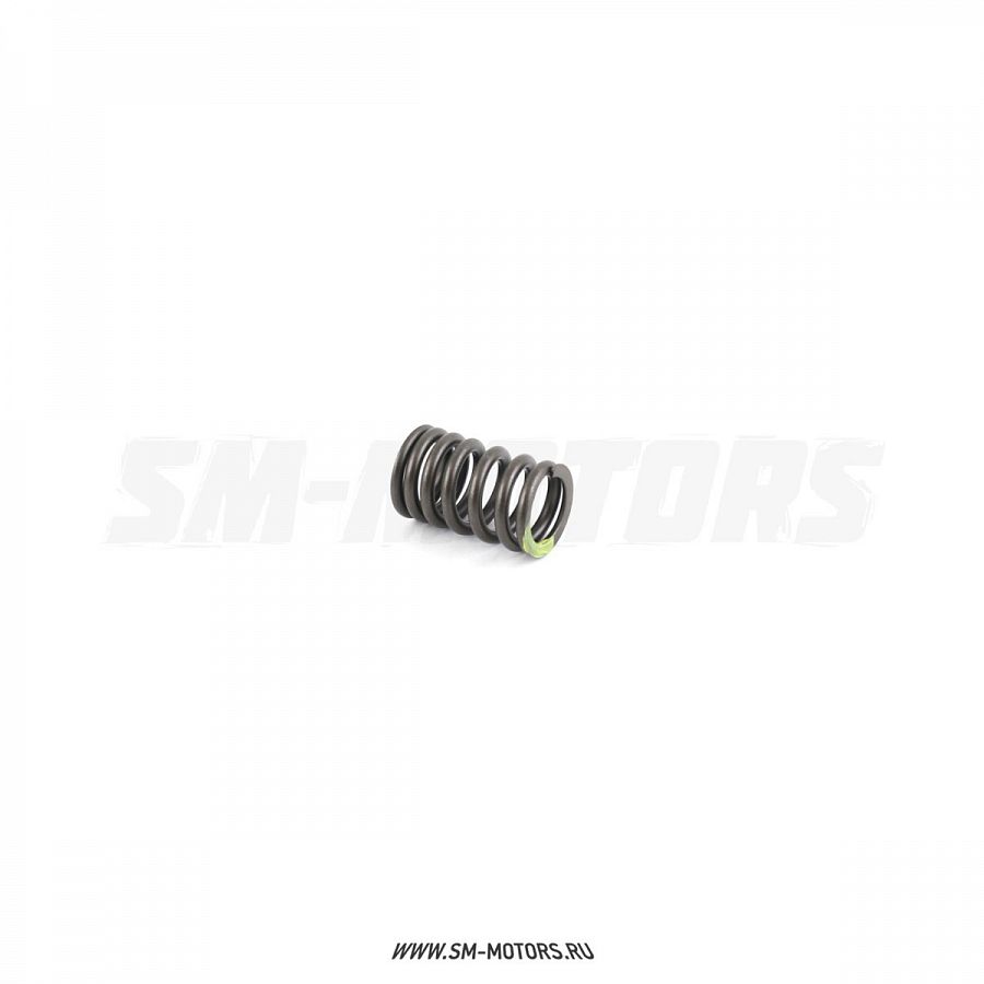 Пружина клапана внутренняя двиг. LC 166FMM  CN