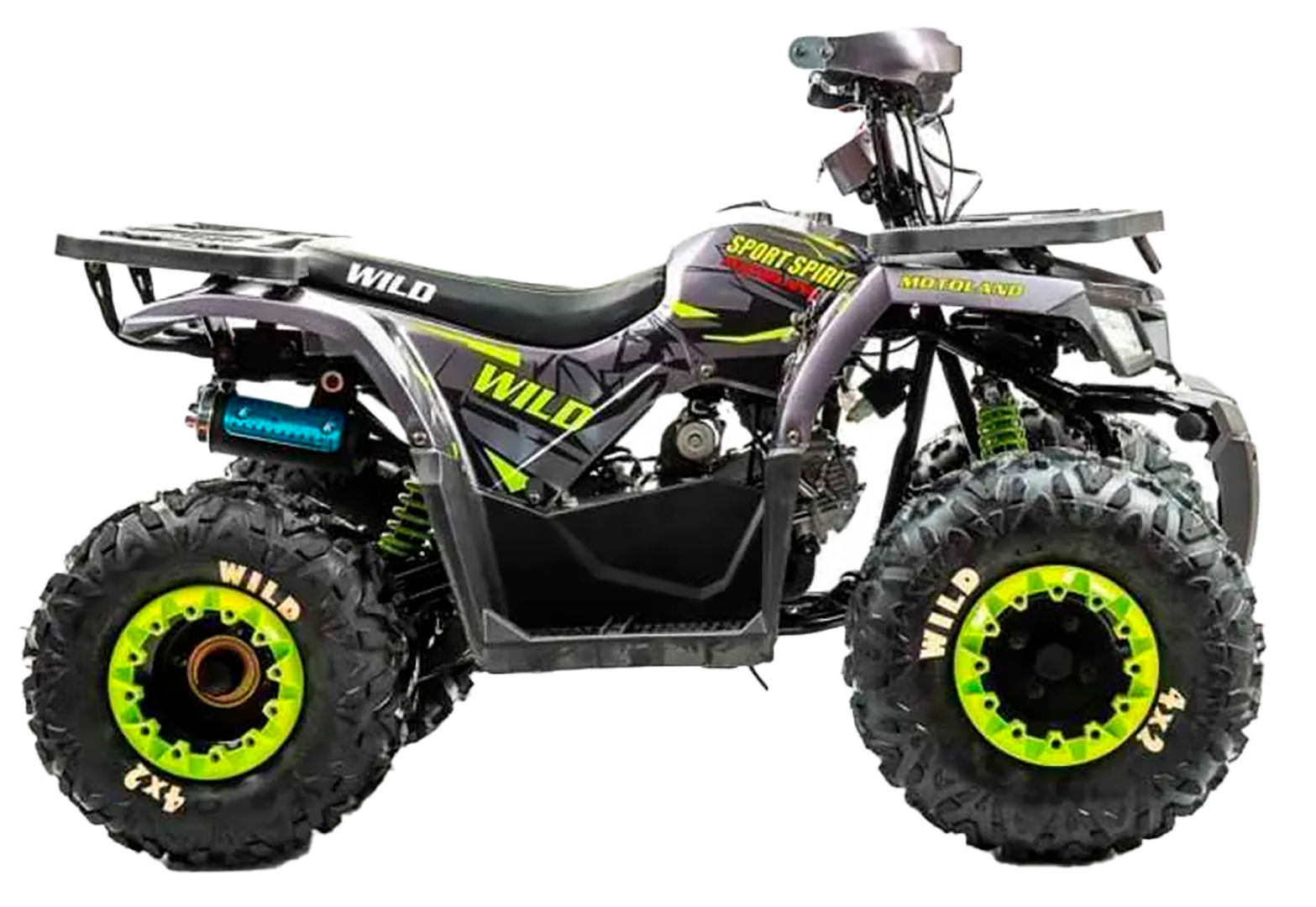 Квадроцикл Motoland 125 WILD BASIC серый