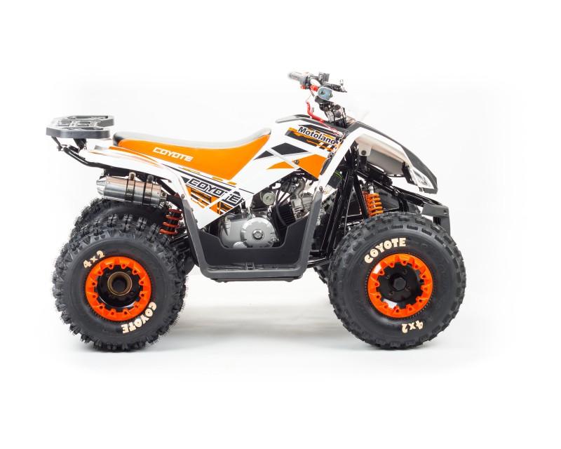 Квадроцикл TAO MOTOR COYOTE 150