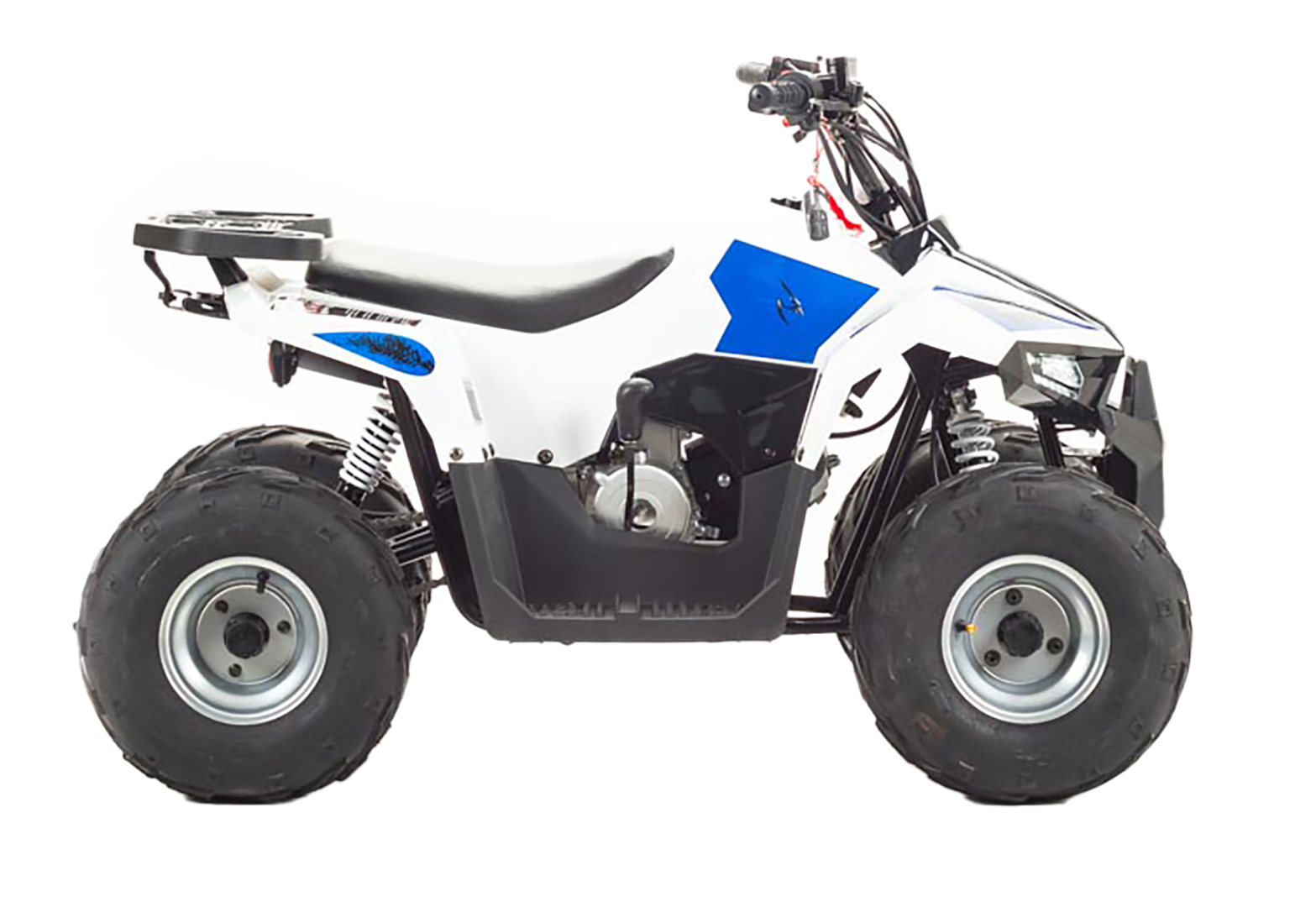 Квадроцикл TAO MOTOR MUDHAWK 110