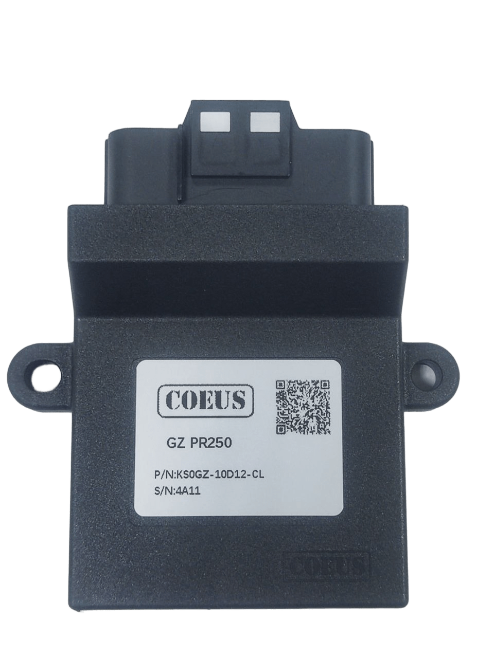 Электронный блок управления (ЭБУ) COEUS EFI ZS172 PR250